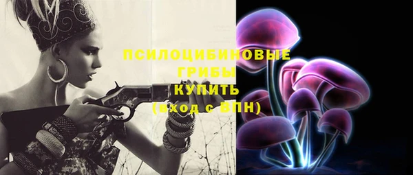 тгк Богданович