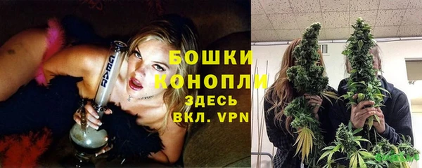 кокс Богородицк