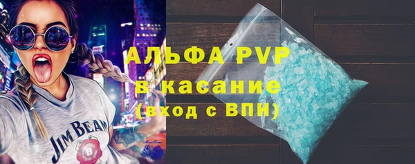 кокс Богородицк