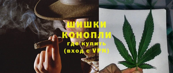 тгк Богданович
