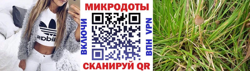 где найти   Боровичи  Псилоцибиновые грибы Psilocybine cubensis 